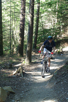 mountain biking betws-y-coed.jpg