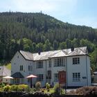 Glenwood Guesthouse 2026 Fronthouse Forest Backdrop 01